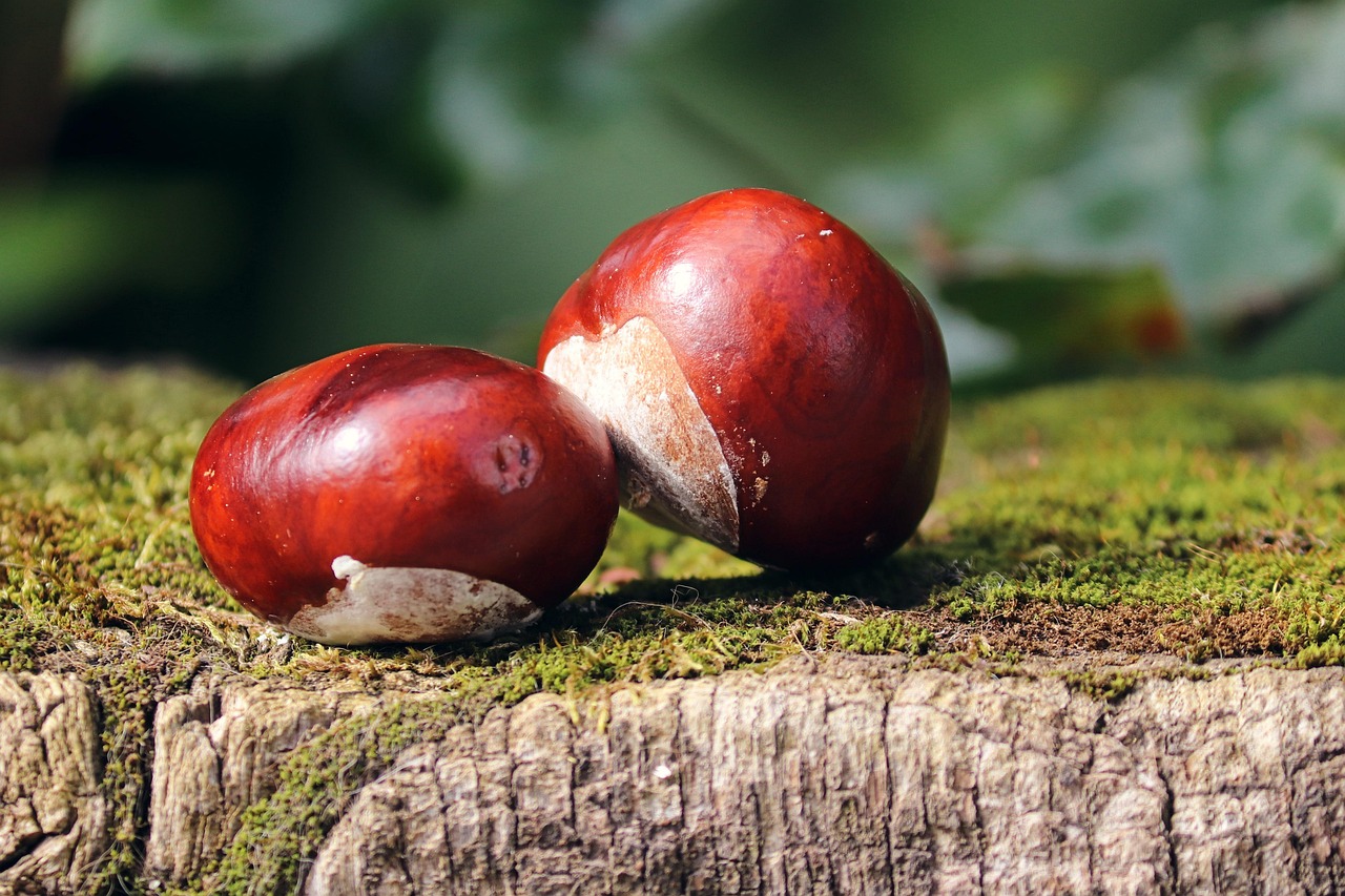 糖質オフの栗きんとんの作り方はどうする？